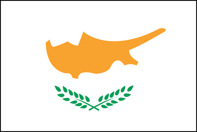 flag icon
