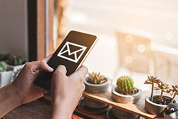 SMS/Text updates for BLS Cyprus Visa From China